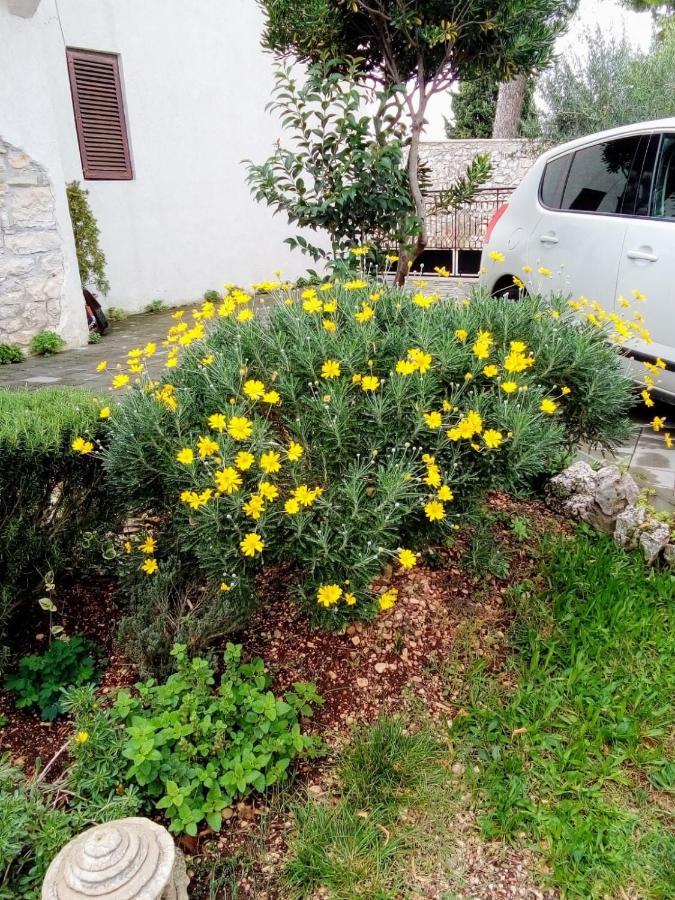 Apartments Rina Rovinj Exterior foto